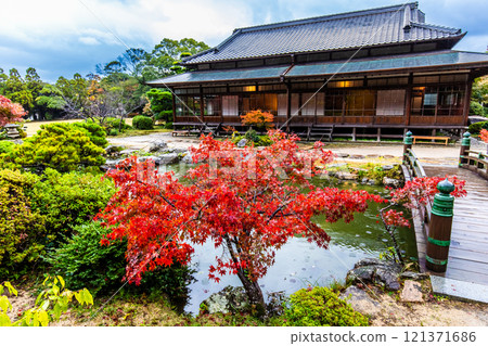 調佈庭園的紅葉【山口縣下關市】 121371686