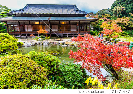 Autumn leaves at Chofu Garden [Shimonoseki City, Yamaguchi Prefecture] 121371687