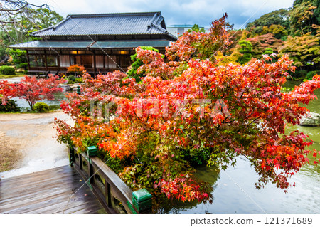 Autumn leaves at Chofu Garden [Shimonoseki City, Yamaguchi Prefecture] 121371689