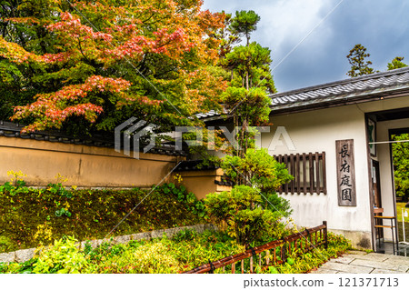 Autumn leaves at Chofu Garden [Shimonoseki City, Yamaguchi Prefecture] 121371713
