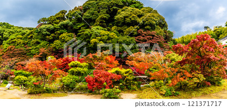 調佈庭園的紅葉全景【山口縣下關市】 調佈庭園的紅葉全景【山口縣下關市】 121371717