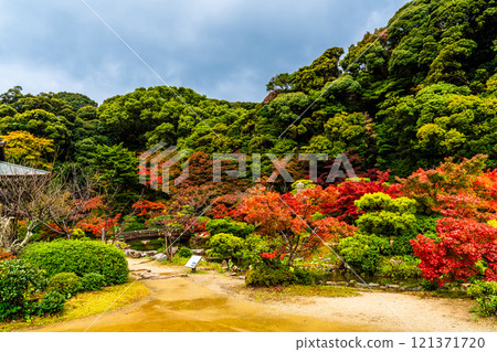Autumn leaves at Chofu Garden [Shimonoseki City, Yamaguchi Prefecture] 121371720