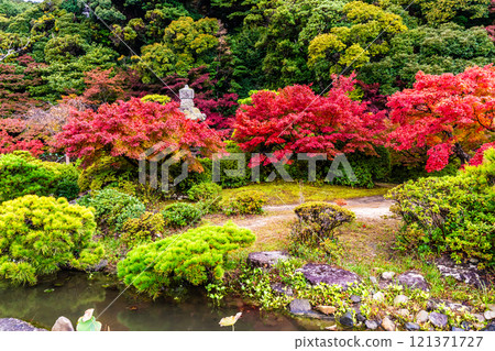 調佈庭園的紅葉【山口縣下關市】 121371727