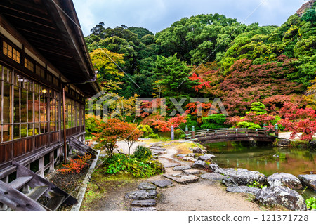 Autumn leaves at Chofu Garden [Shimonoseki City, Yamaguchi Prefecture] 121371728