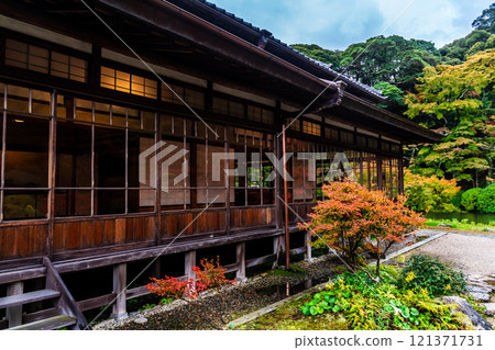 Autumn leaves at Chofu Garden [Shimonoseki City, Yamaguchi Prefecture] 121371731