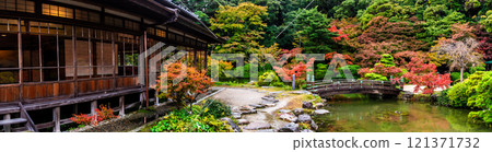 Panorama of autumn leaves at Chofu Garden [Shimonoseki City, Yamaguchi Prefecture] 121371732