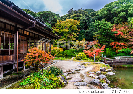 Autumn leaves at Chofu Garden [Shimonoseki City, Yamaguchi Prefecture] 121371734