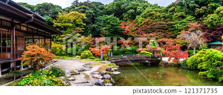 調佈庭園的紅葉全景【山口縣下關市】 121371735