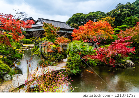 Autumn leaves at Chofu Garden [Shimonoseki City, Yamaguchi Prefecture] 121371752