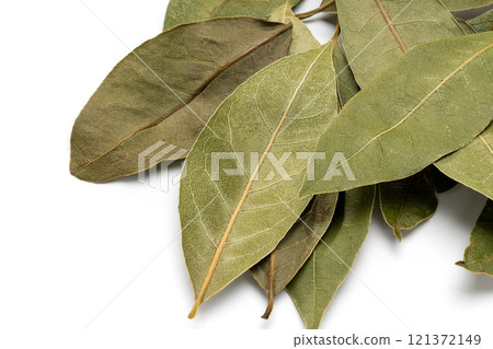Leaves of Laurie Leaves of Laurie 121372149