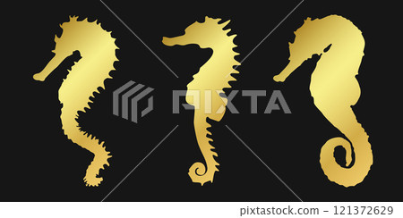 Set golden sea horse sign icon on black background. Gold vector clipart illustration Set golden sea horse sign icon on black background. Gold vector clipart illustration 121372629