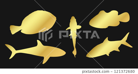 Set golden silhouette clownfish, sardine, goldfish and surgeonfish sign icon on black background. Gold vector clipart illustration Set golden silhouette clownfish, sardine, goldfish and surgeonfish sign icon on black background. Gold vector clipart illustration 121372680