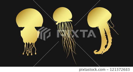 Set golden jellyfish, medusa, sea jelly or nettle-fish sign icon on black background. Gold vector clipart illustration Set golden jellyfish, medusa, sea jelly or nettle-fish sign icon on black background. Gold vector clipart illustration 121372683
