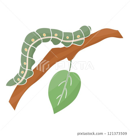 caterpillar forest pest on a branch caterpillar forest pest on a branch 121373509