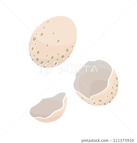 wild bird egg and shell of eggs 121373910