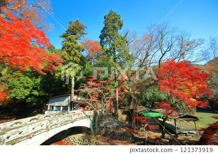 [滋賀縣]晴天時永源寺大門橋和秋葉 121373919