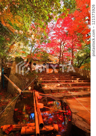 [Shiga Prefecture] The mountain gate of Egenji Temple on a clear day and autumn leaves 121373926