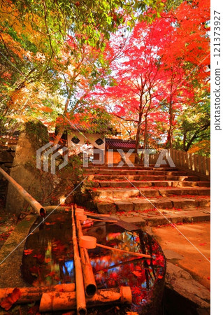[滋賀縣]晴天時的永源寺大門與秋葉 121373927