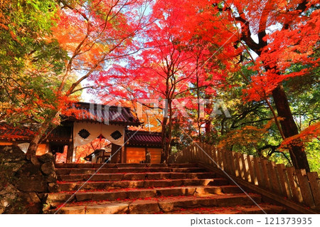 [滋賀縣]晴天時的永源寺正門和秋葉 121373935