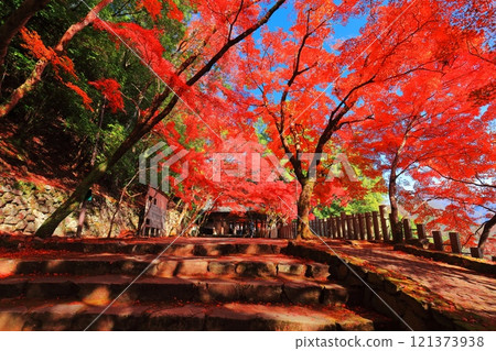 [Shiga Prefecture] The main gate of Eigenji Temple on a clear day and autumn leaves 121373938