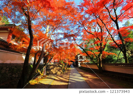 [滋賀郡]晴天永源寺的紅葉 121373943