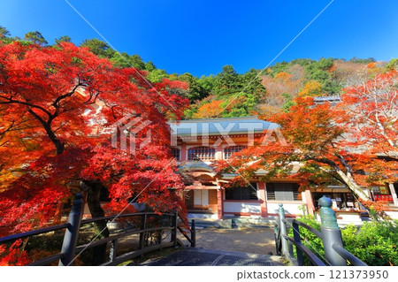 [Shiga Prefecture] Autumn leaves at Eigenji Temple on a clear day 121373950