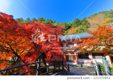 [滋賀郡]晴天永源寺的紅葉 121373951