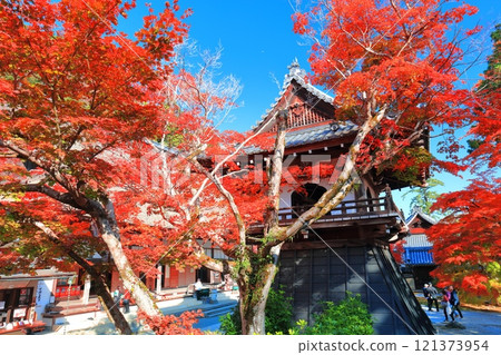 [滋賀縣]晴天時永源寺（鐘樓）的紅葉 121373954