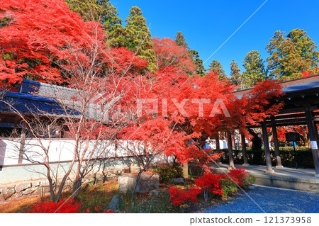 [滋賀郡]晴天永源寺的紅葉 121373958