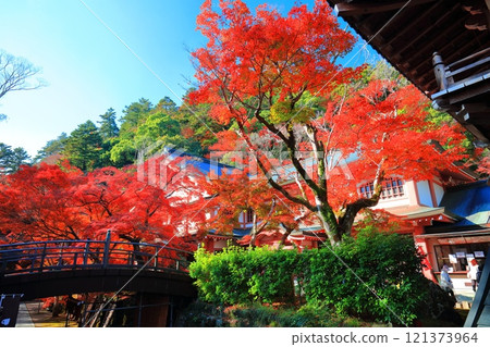 [Shiga Prefecture] Autumn leaves at Eigenji Temple on a clear day 121373964