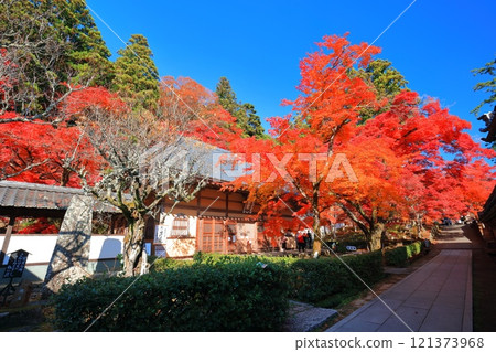 [滋賀郡]晴天永源寺的紅葉 121373968