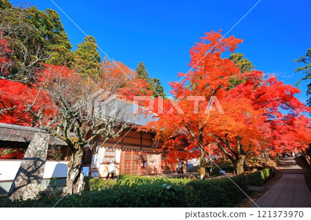 [滋賀郡]晴天永源寺的紅葉 121373970