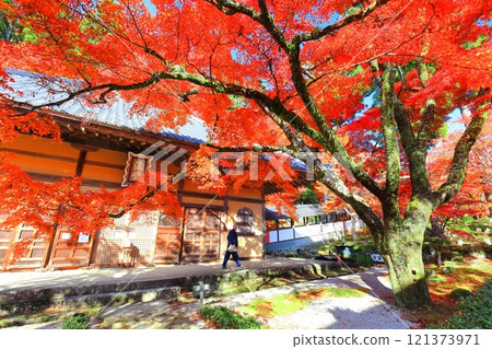 [滋賀郡]晴天永源寺的紅葉 121373971