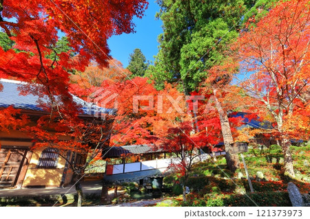 [滋賀郡]晴天永源寺的紅葉 121373973