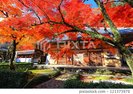 [滋賀郡]晴天永源寺的紅葉 121373978