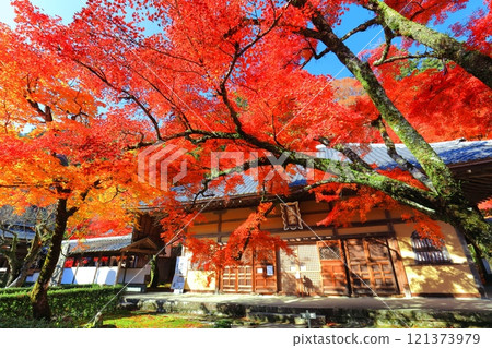 [滋賀郡]晴天永源寺的紅葉 121373979