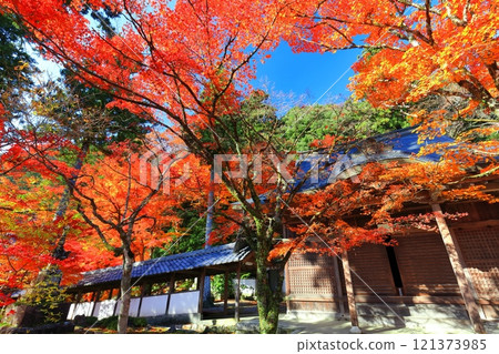 [滋賀郡]晴天永源寺的紅葉 121373985