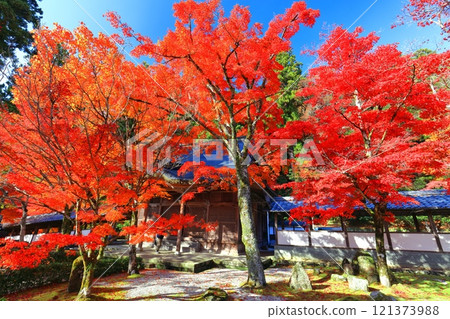 [Shiga Prefecture] Autumn leaves at Eigenji Temple on a clear day 121373988