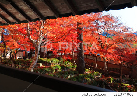 [滋賀郡]晴天永源寺的紅葉 121374003