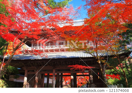 [滋賀縣]晴天時的永源寺大門與秋葉 121374008