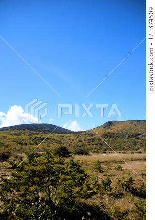 Mt. Mt. 121374509
