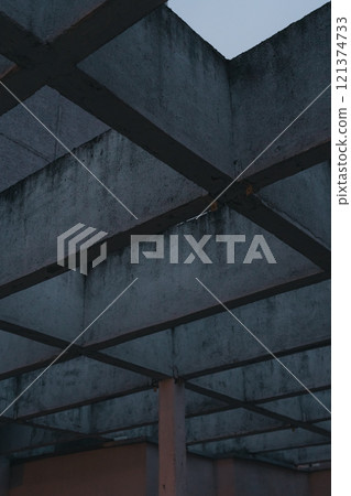 A concrete structure in the form of intersections. Soviet architecture. Panel A concrete structure in the form of intersections. Soviet architecture. Panel 121374733