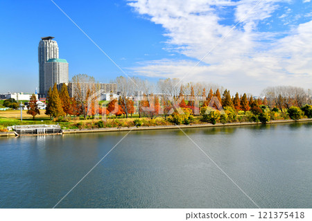 Shin-Arakawa Ohashi Bridge / View towards Kawaguchi City from the Arakawa River (Kawaguchi City, Saitama Prefecture) [2024.11] 121375418