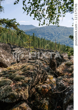 Natural landscape, A scattering of large stones among the forest.  121375746