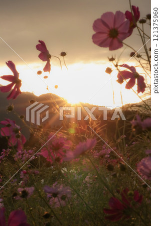 宇宙 宇宙 121375960