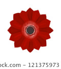 red anemone 121375973