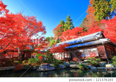 [滋賀縣]晴天百濟寺本坊庭園的紅葉 121376165