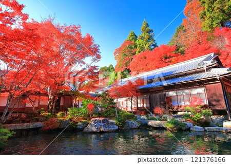 [滋賀縣]晴天百濟寺本坊庭園的紅葉 121376166