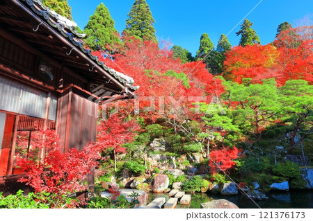 [Shiga Prefecture] Autumn leaves in the main garden of Baekje Temple on a clear day 121376173