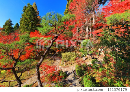 [Shiga Prefecture] Autumn leaves in the main garden of Baekje Temple on a clear day 121376179